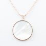 Stainless steel necklace with a circular pendant in...