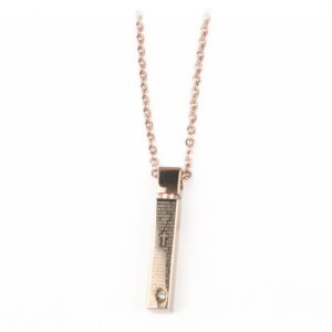 Stainless steel necklace with elegant pin hanger, prayer...