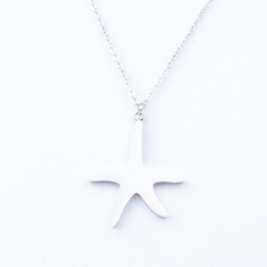 Stainless steel necklace with starfish pendant