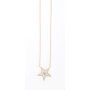 Stainless steel necklace with star pendant gold