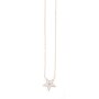 Stainless steel necklace with star pendant rose gold