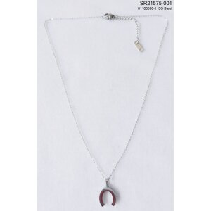 Stainless steel necklace with horse shoe pendant
