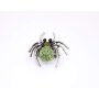 Elastic ring spider green