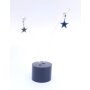 Stainless steel earrings with star pendant
