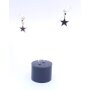 Stainless steel earrings with star pendant