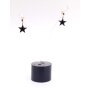 Stainless steel earrings with star pendant gold