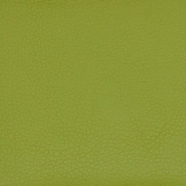 Unisex key case made of genuine leather 8,5x12x1cm PR green